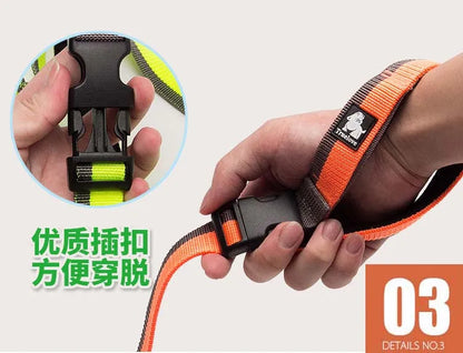 Truelove Dog Running Bungee Leash