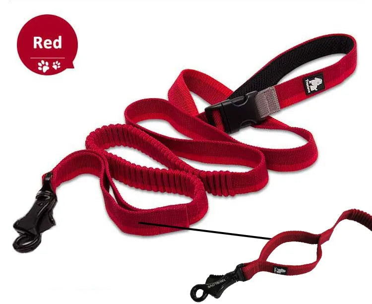 Truelove Dog Running Bungee Leash