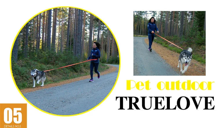 Truelove Dog Running Bungee Leash