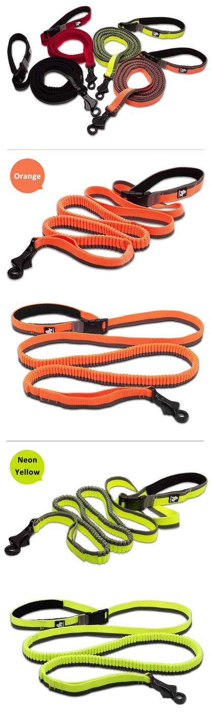 Truelove Dog Running Bungee Leash