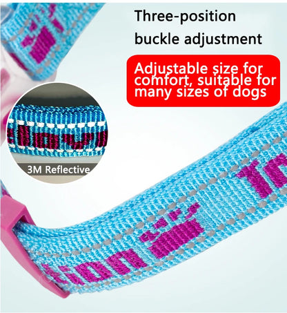 Truelove Dog Collar P-Chain Outdoor Nylon