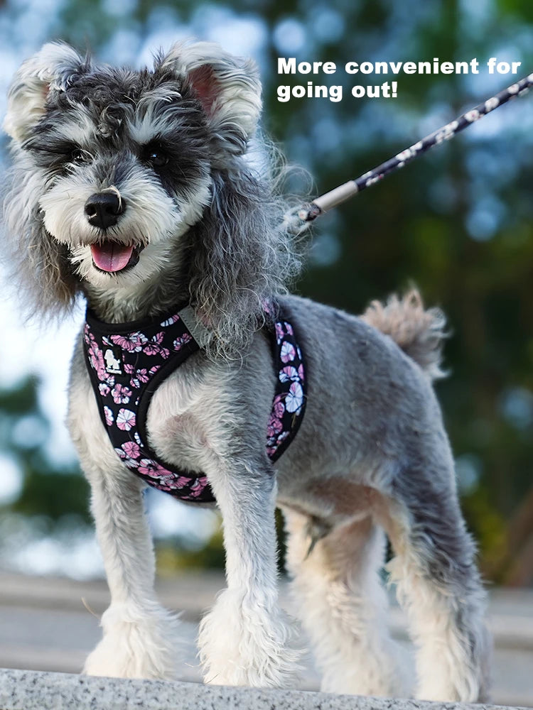 Truelove Floral Mesh Pet Harness &amp; Leash Set