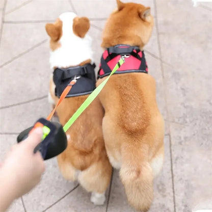 Dual Dog Leash with Tangle-Free Swivel