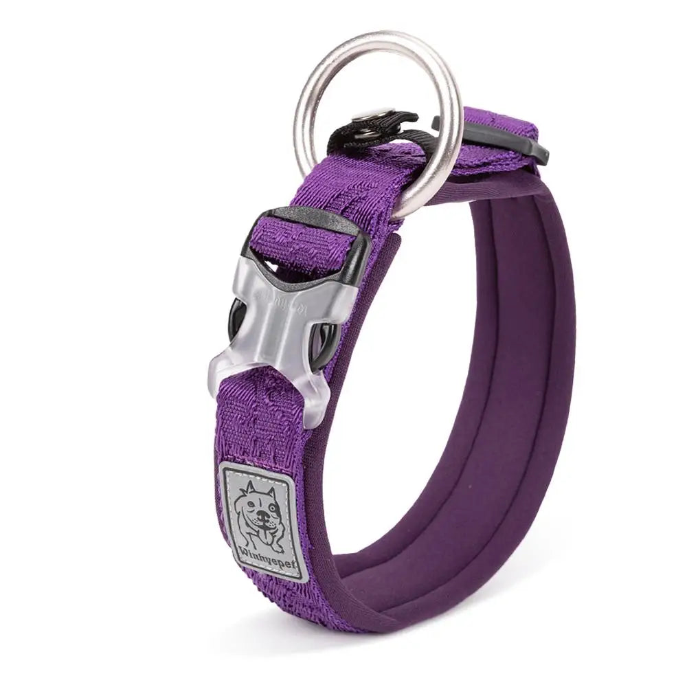 TrueLove Adjustable Padded Pet Dog Collar