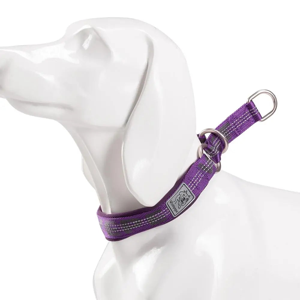 TRUELOVE P chain Pet Reflective Collar Nylon