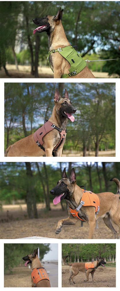 Truelove Dog Backpack Pet Harness