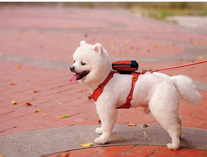 Truelove Pet All-In-One Environmentally Friendly Harness