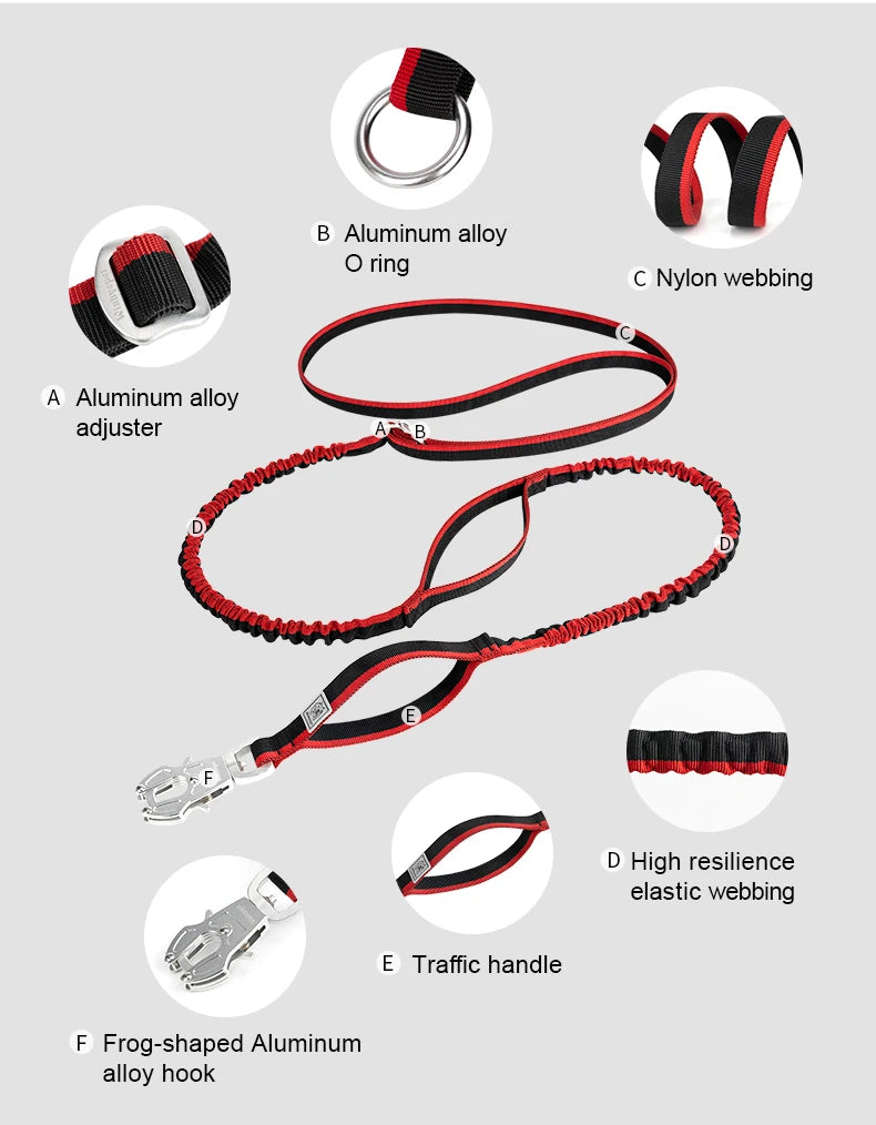 TRUELOVE Dog Leash Heavy Duty with Quick Release/Locking