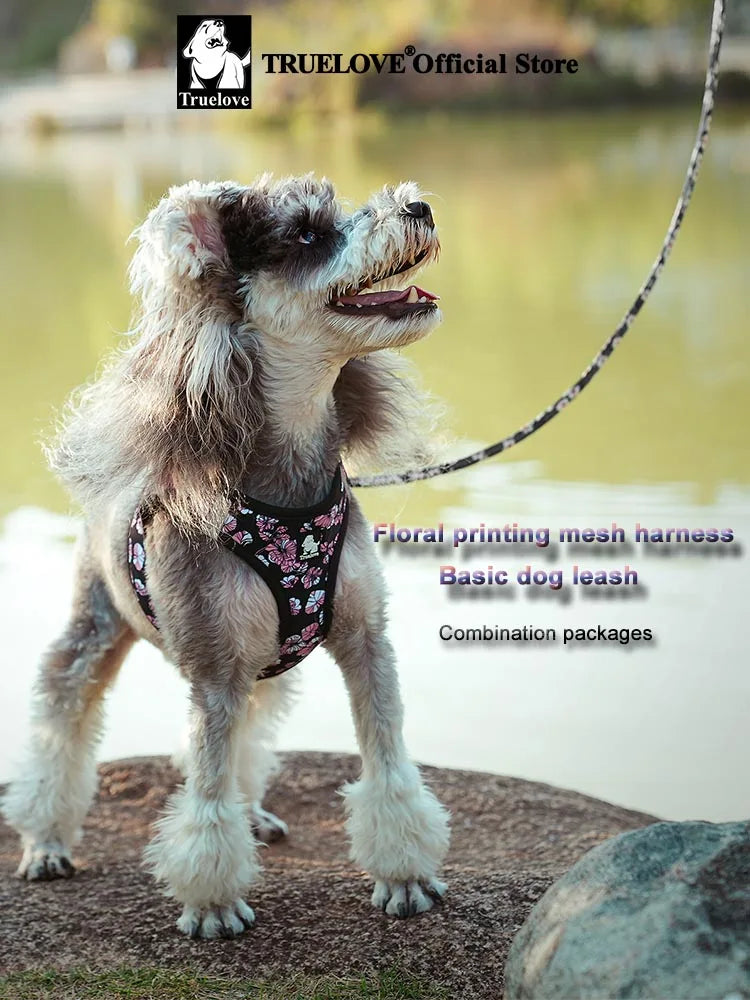 Truelove Floral Mesh Pet Harness &amp; Leash Set