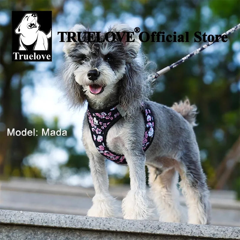 Truelove Floral Mesh Pet Harness &amp; Leash Set