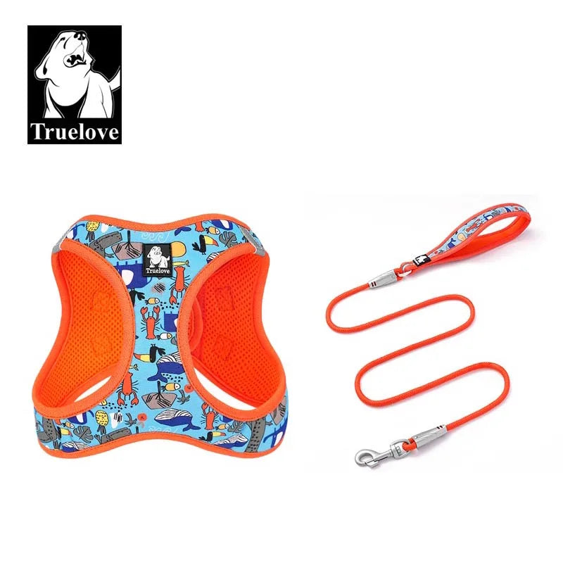 Truelove Floral Mesh Pet Harness &amp; Leash Set