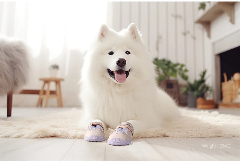 Truelove Breathable Dog Shoes with TPR Sole Flexible