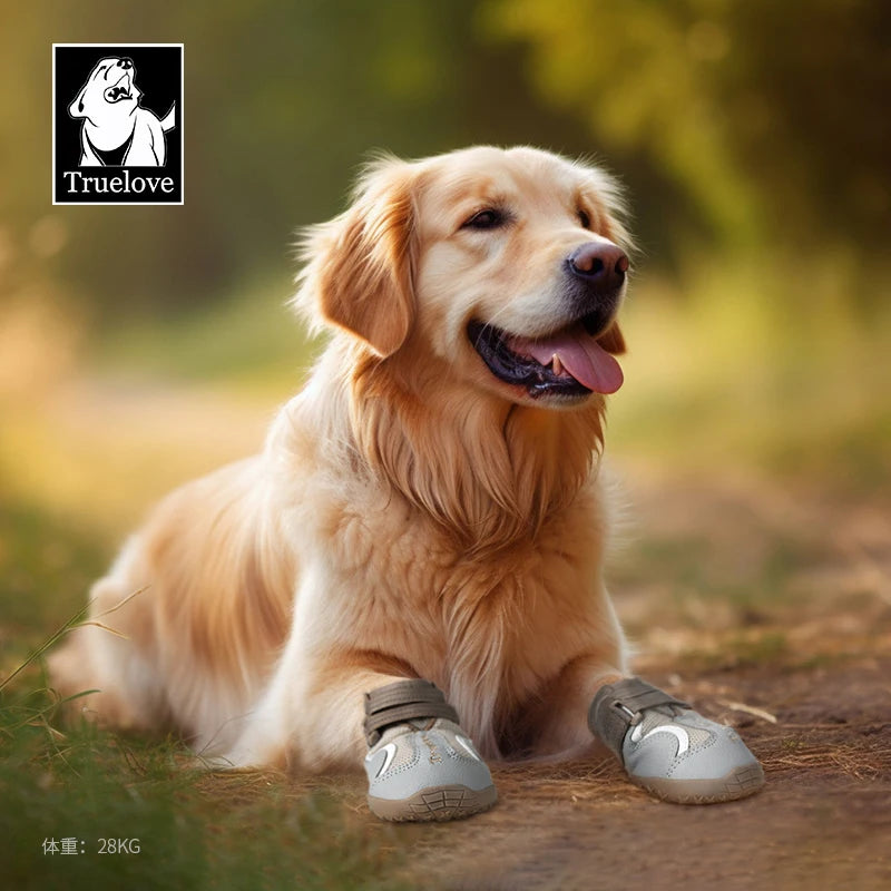 Truelove Breathable Dog Shoes with TPR Sole Flexible