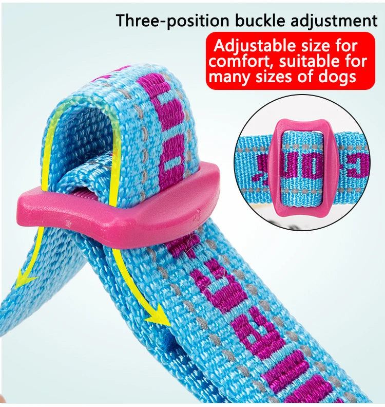 Truelove Dog Collar P-Chain Outdoor Nylon