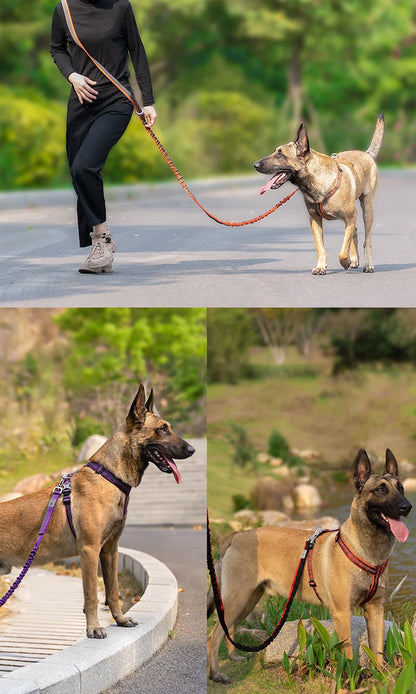 TRUELOVE Dog Leash Heavy Duty with Quick Release/Locking